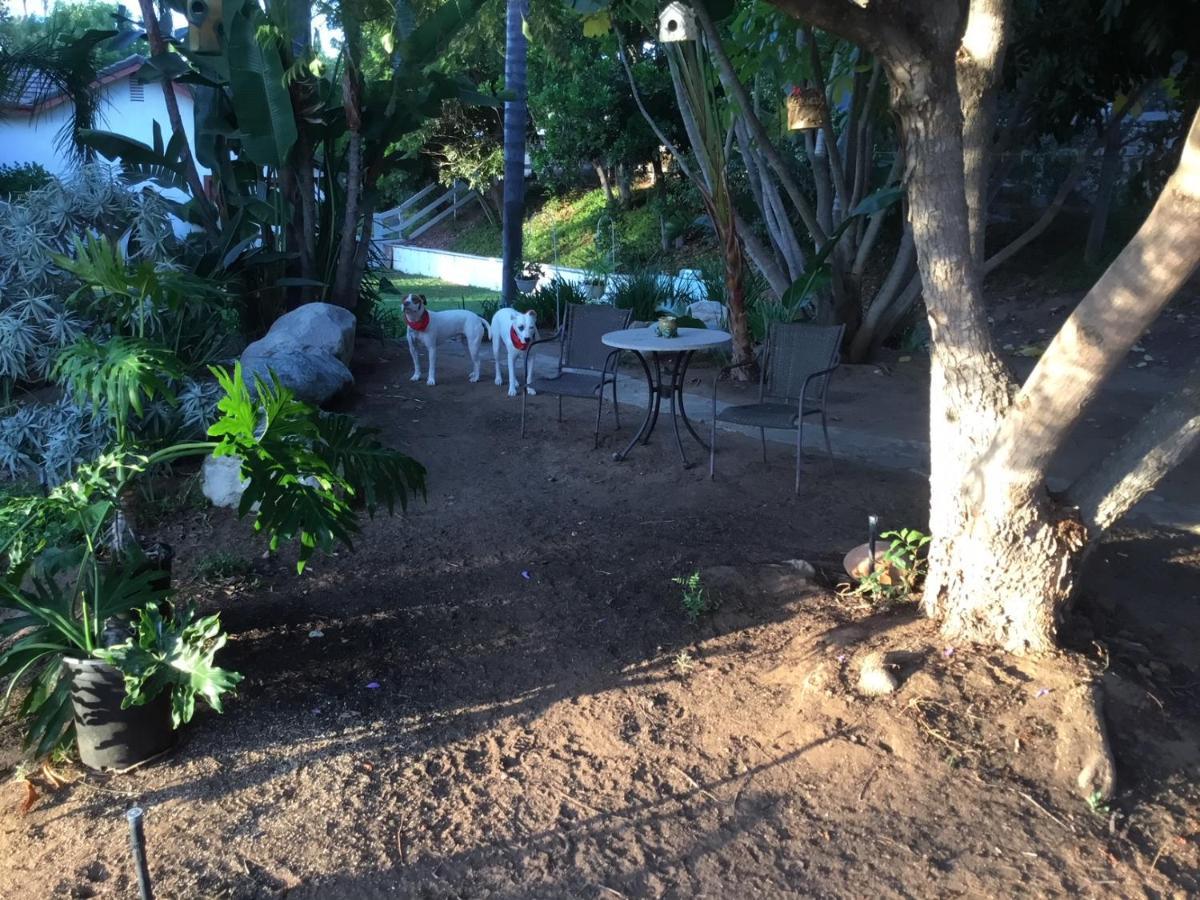 Beautiful New Detached Casita Nestled In Scenic Southern Ca Foothills! فولبروك المظهر الخارجي الصورة
