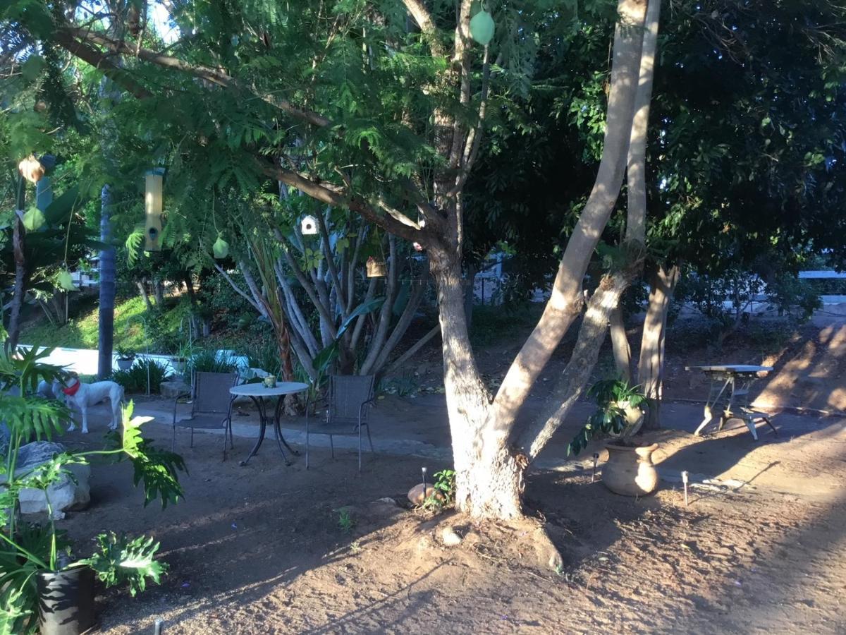Beautiful New Detached Casita Nestled In Scenic Southern Ca Foothills! فولبروك المظهر الخارجي الصورة